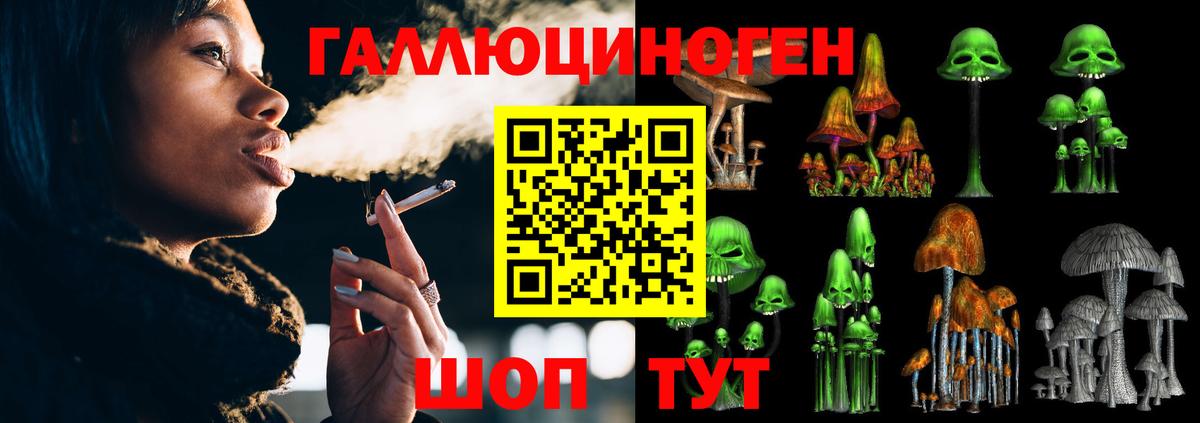 Кизилюрт  Галлюциногенные грибы Psilocybine cubensis  Вход с VPN 